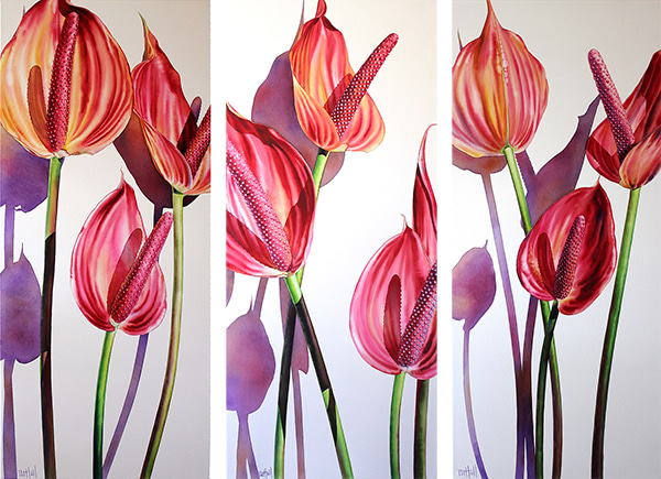 Anthuriums (Set of III) by Pat Hall | Lethbridge Gallery